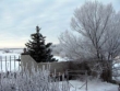 From my Front Door