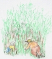 hunting